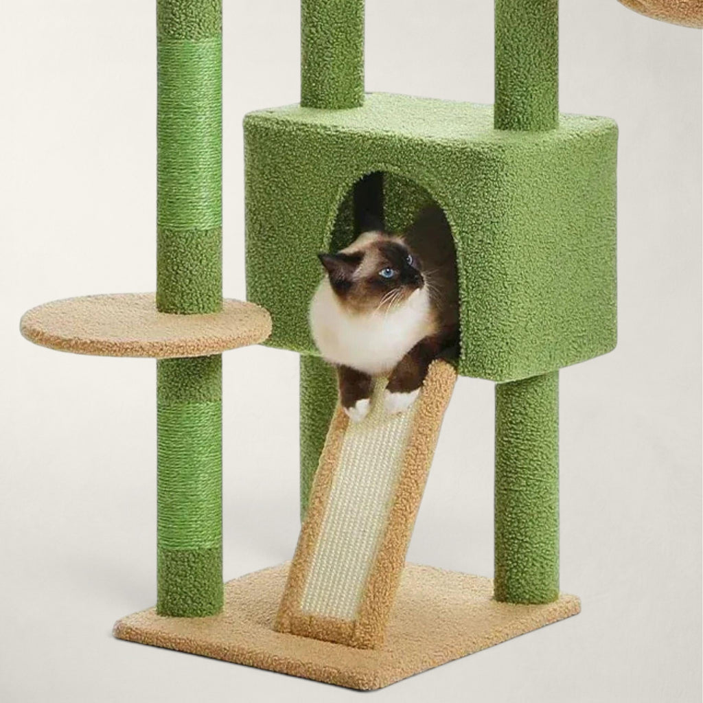 Grand arbre à chat sol plafond vert - Bofélin - 12