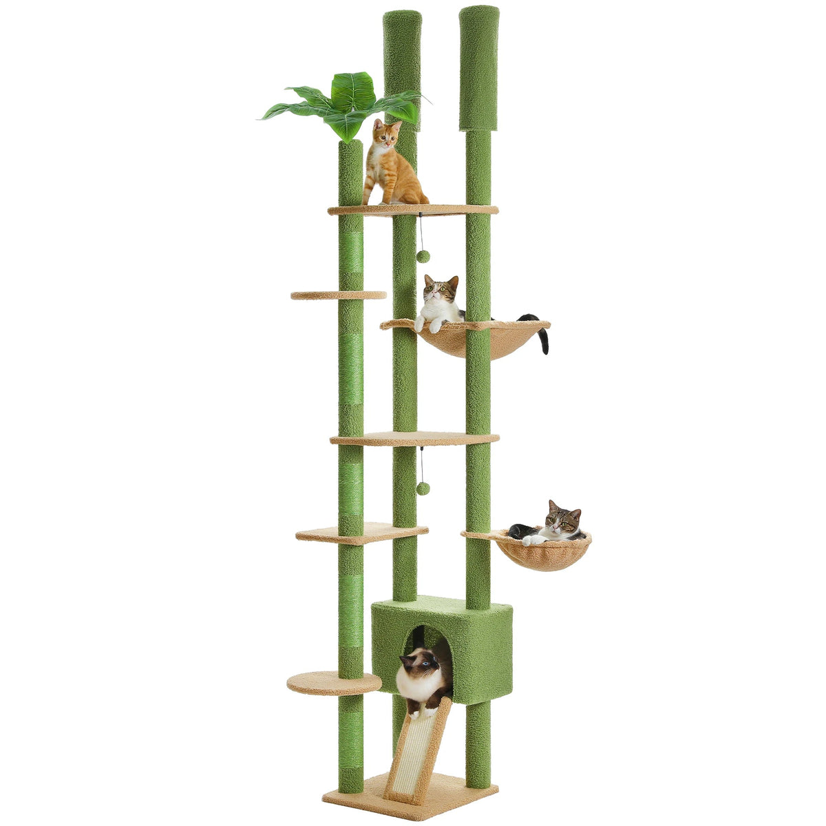 Grand arbre a chat sol plafond vert