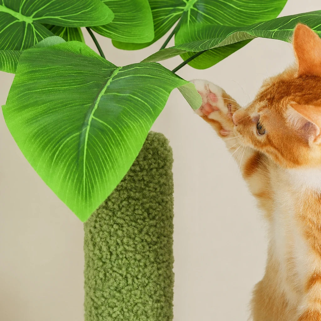 Grand arbre a chat sol plafond vert Robur Bofélin en situation