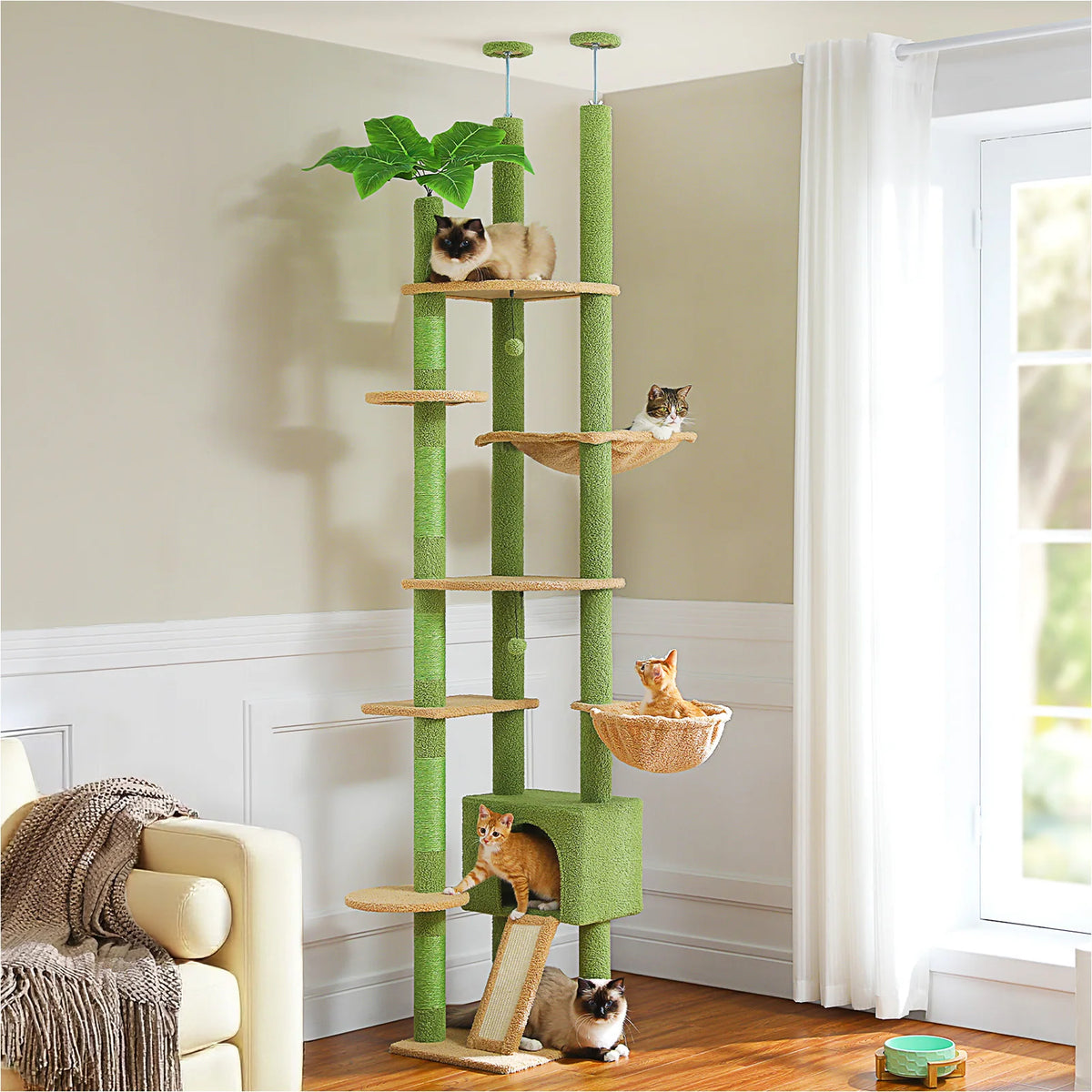 Grand arbre a chat sol plafond vert