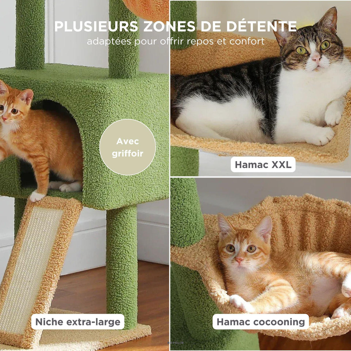 Grand arbre a chat sol plafond vert