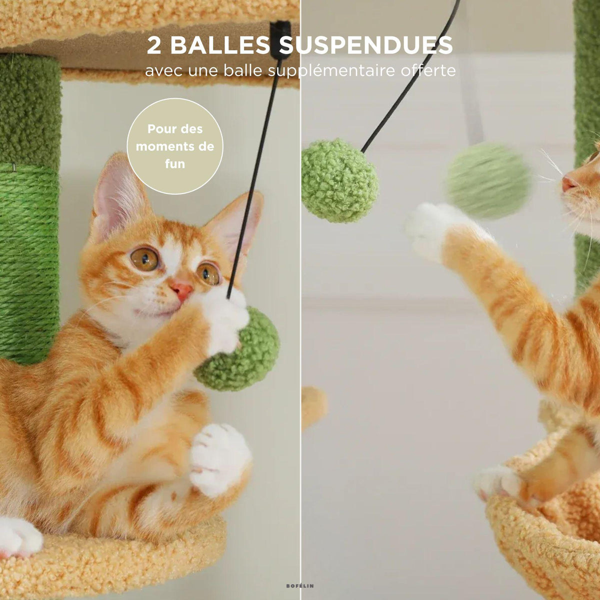 Grand arbre a chat sol plafond vert
