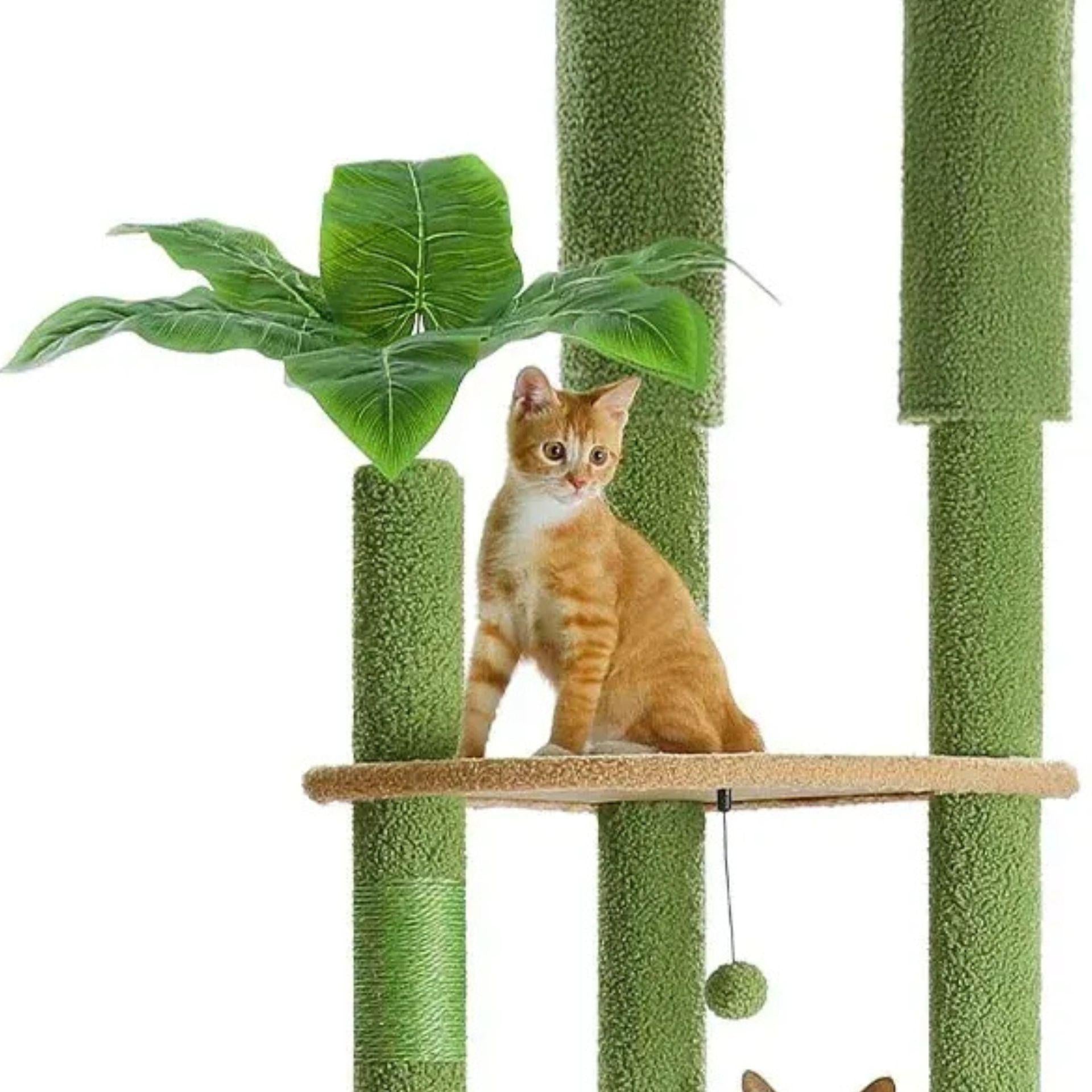 Grand arbre à chat sol plafond vert - Bofélin - 9 Image