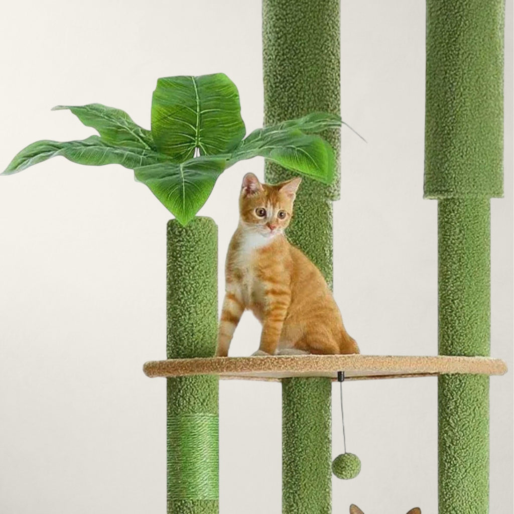 Grand arbre à chat sol plafond vert - Bofélin - 9