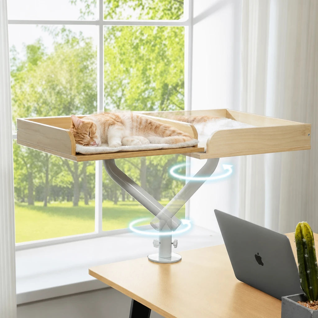 Hamac chat bureau Bristol Bofélin en situation