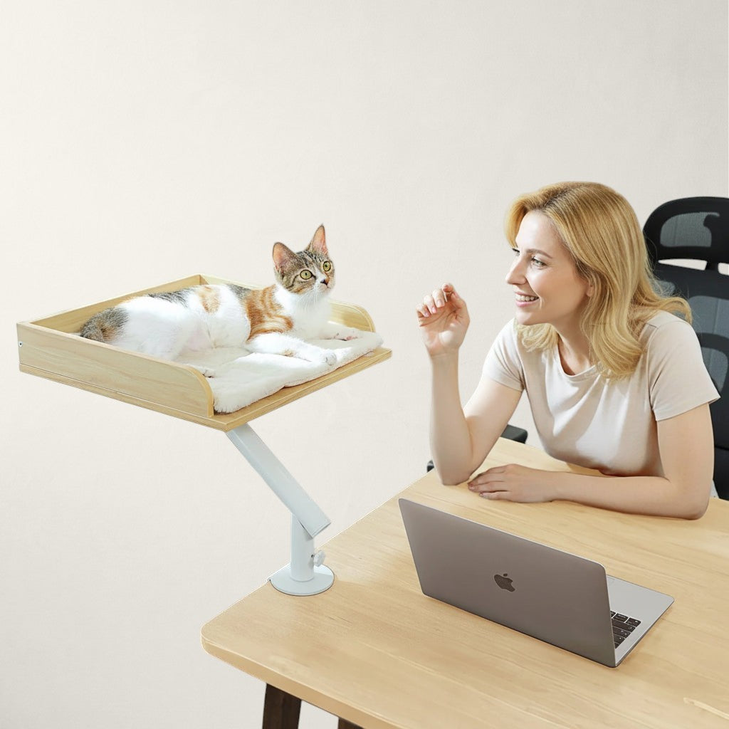 Femme regardant son chat installé sur le hamac de bureau Bristol fixé à la table – Bofélin