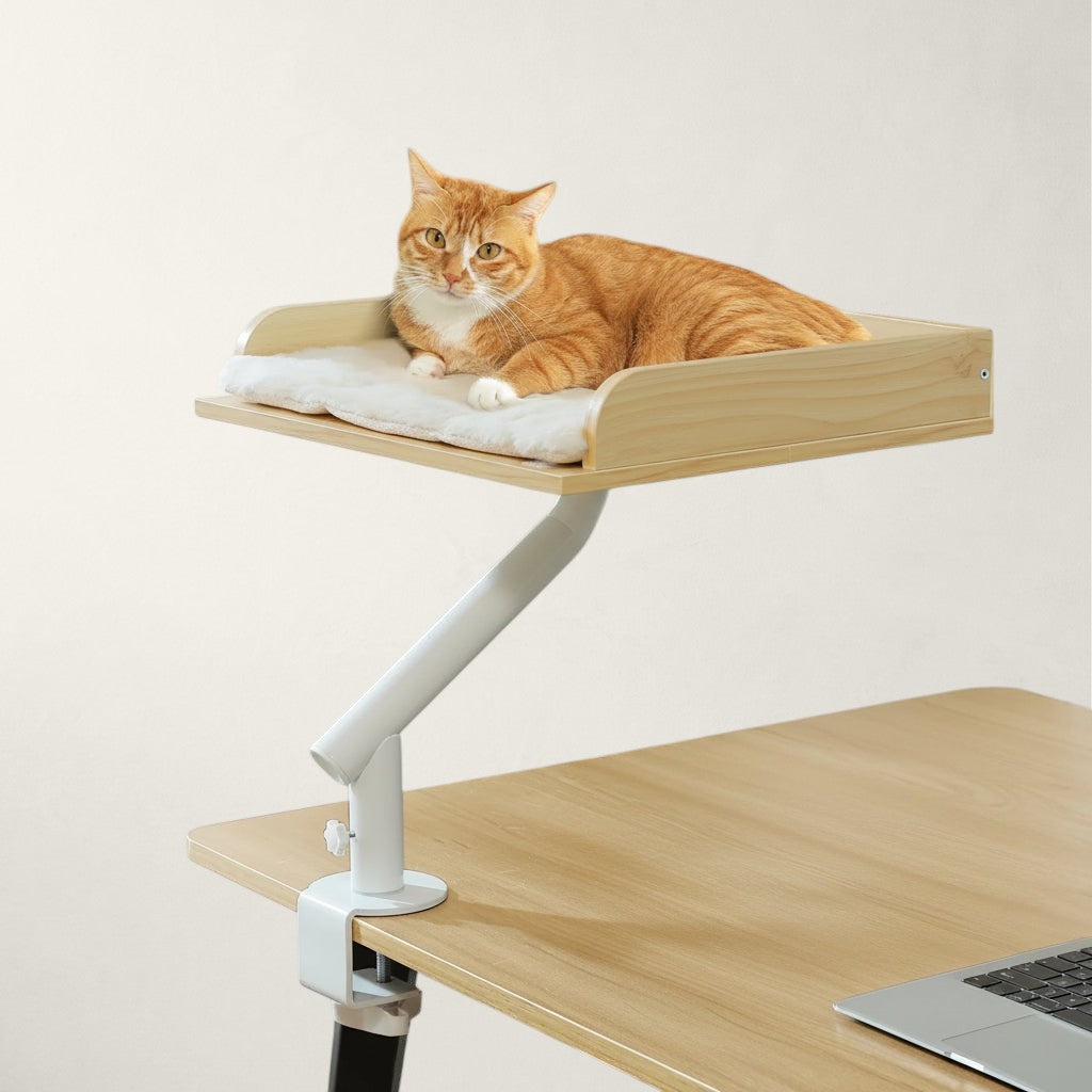 Chat roux allongé sur le hamac de bureau Bristol en bois pivotant fixé à une table – Bofélin