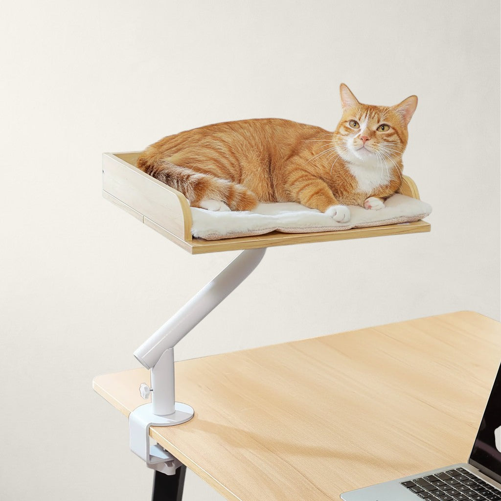 Chat roux confortablement couché sur le hamac de bureau Bristol fixé à un bureau – Bofélin
