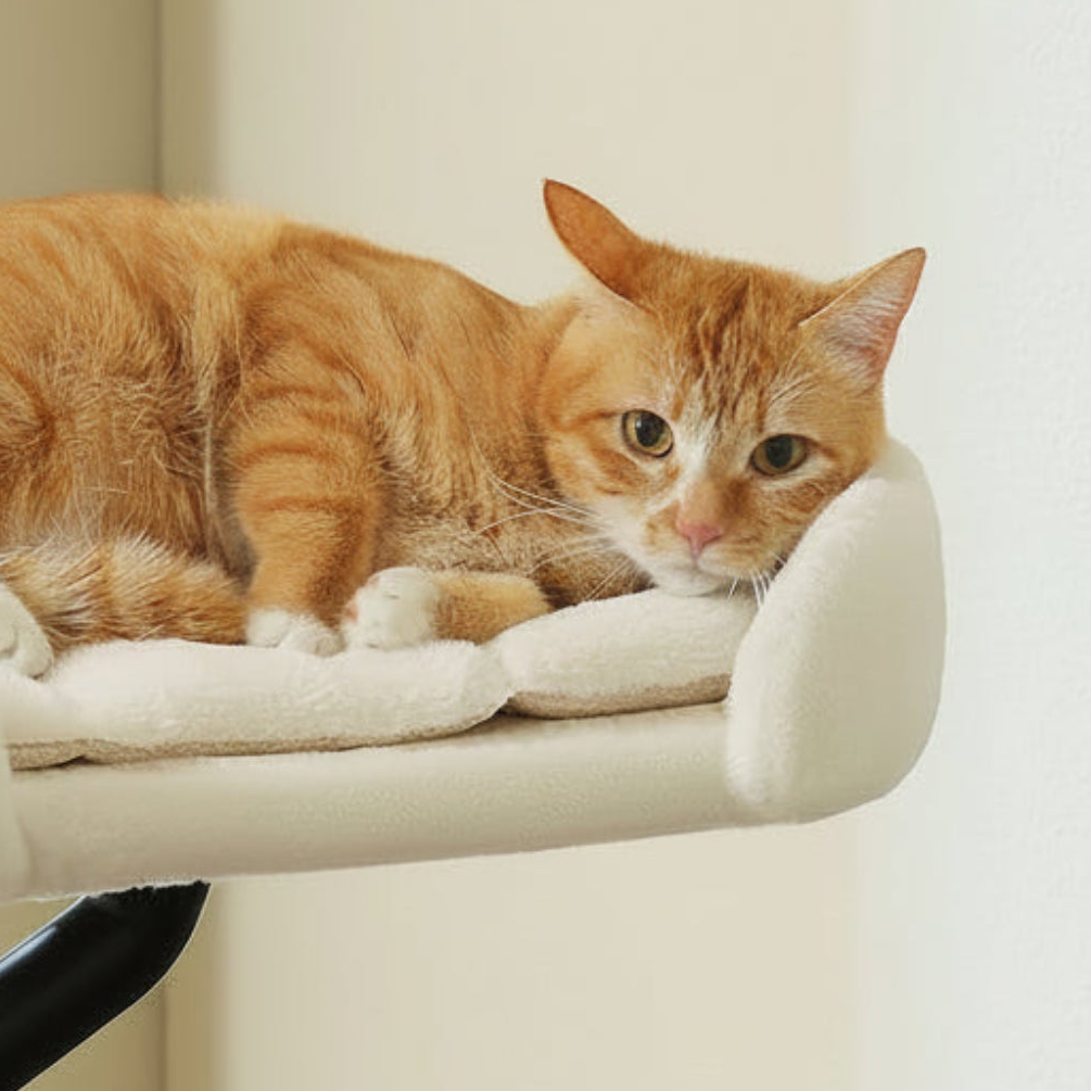 Schéma des dimensions du hamac de bureau pour chat Oxford – Bofélin Image
