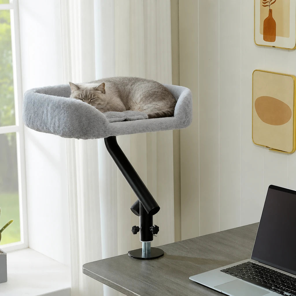 Hamac chat bureau Oxford Bofélin en situation