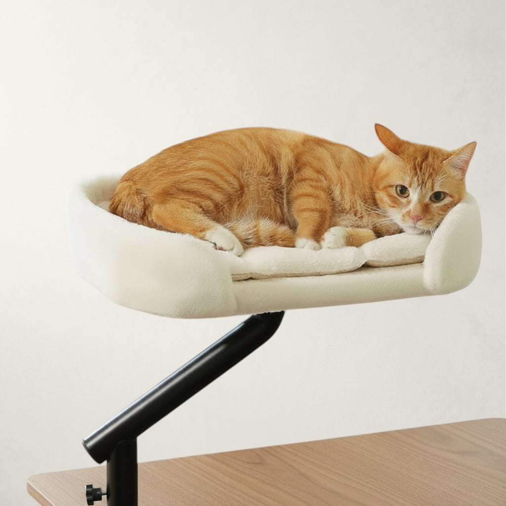 Chat roux allongé dans le hamac de bureau pivotant Oxford beige fixé au bord du bureau – Bofélin