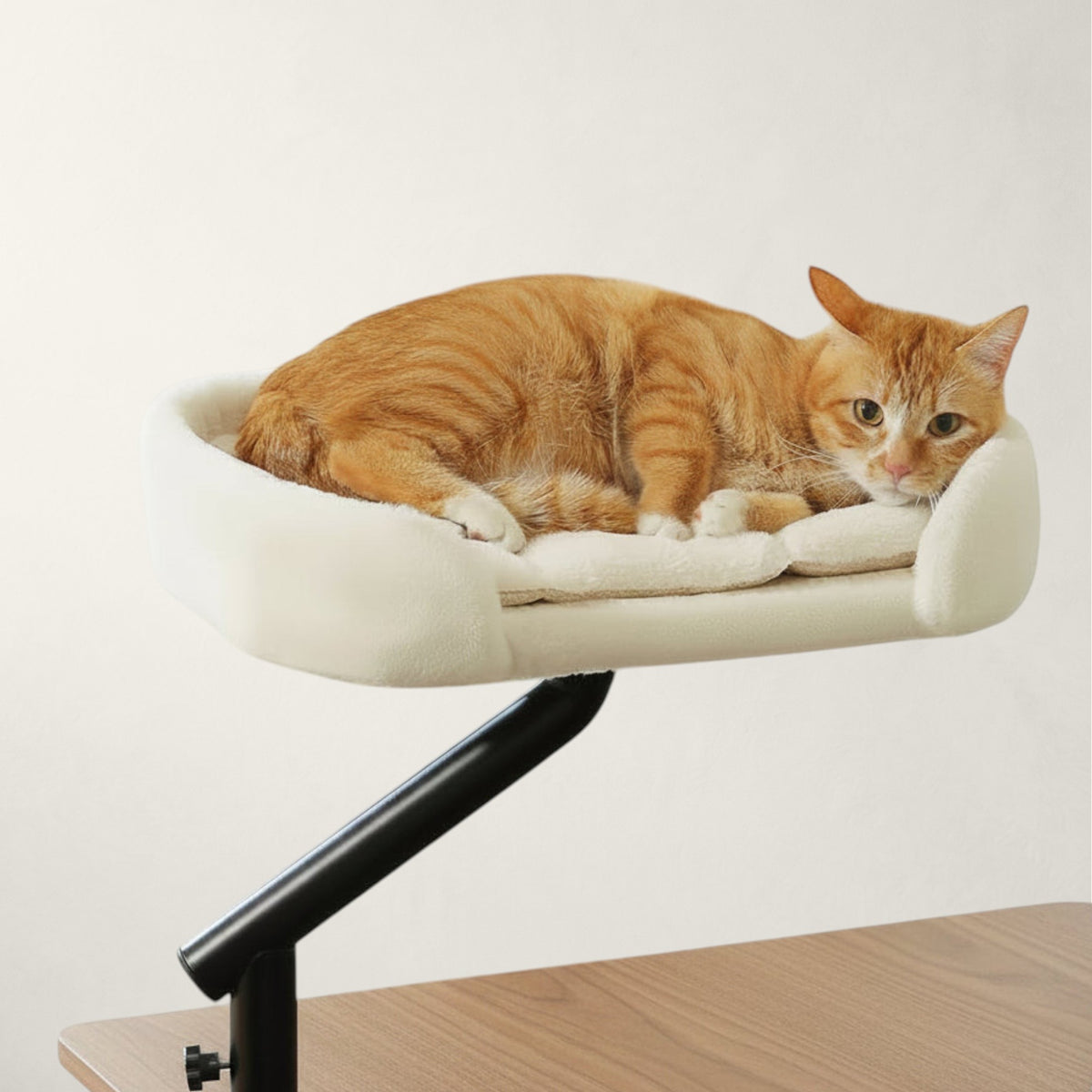 Chat roux allongé dans le hamac de bureau pivotant Oxford beige fixé au bord du bureau – Bofélin