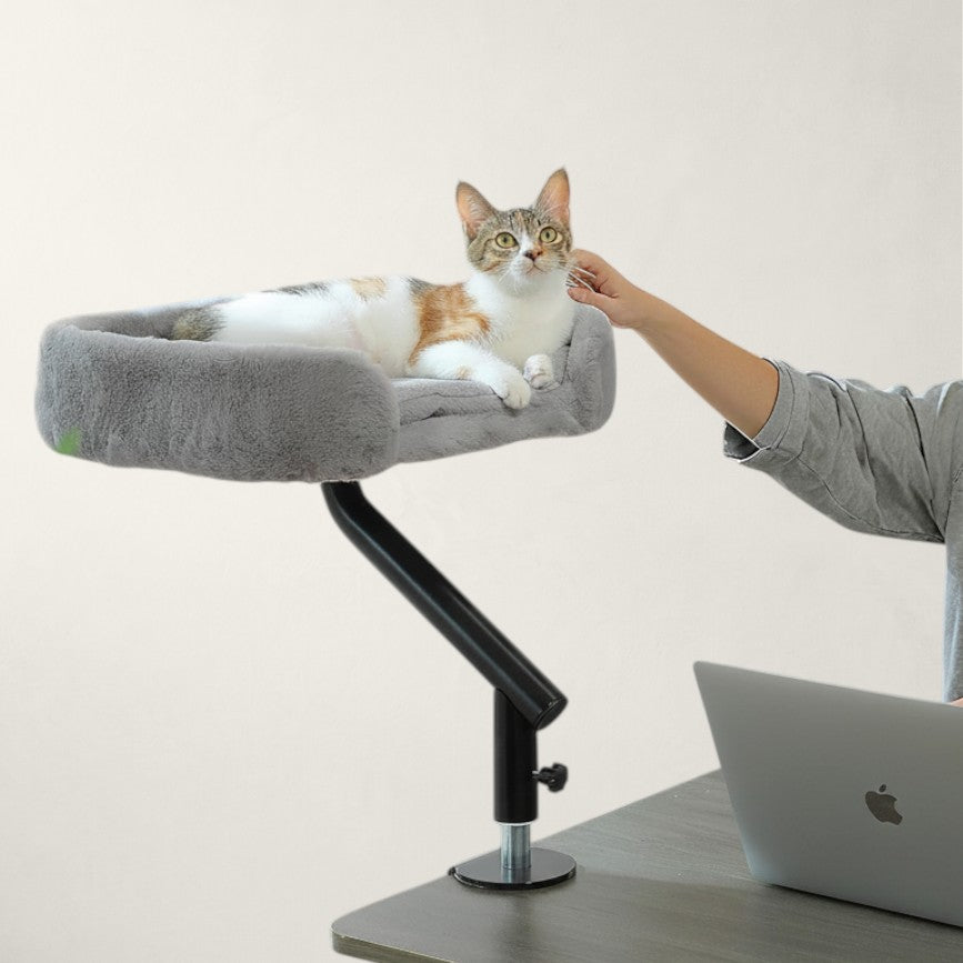 Chat dans le hamac de bureau pivotant Oxford gris caressé par une personne près de la fenêtre – Bofélin