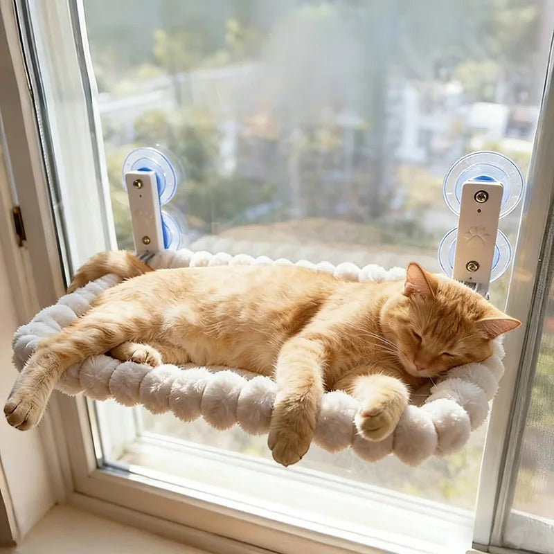 Chat roux endormi dans le hamac de fenêtre Naples à ventouses renforcées – Bofélin
