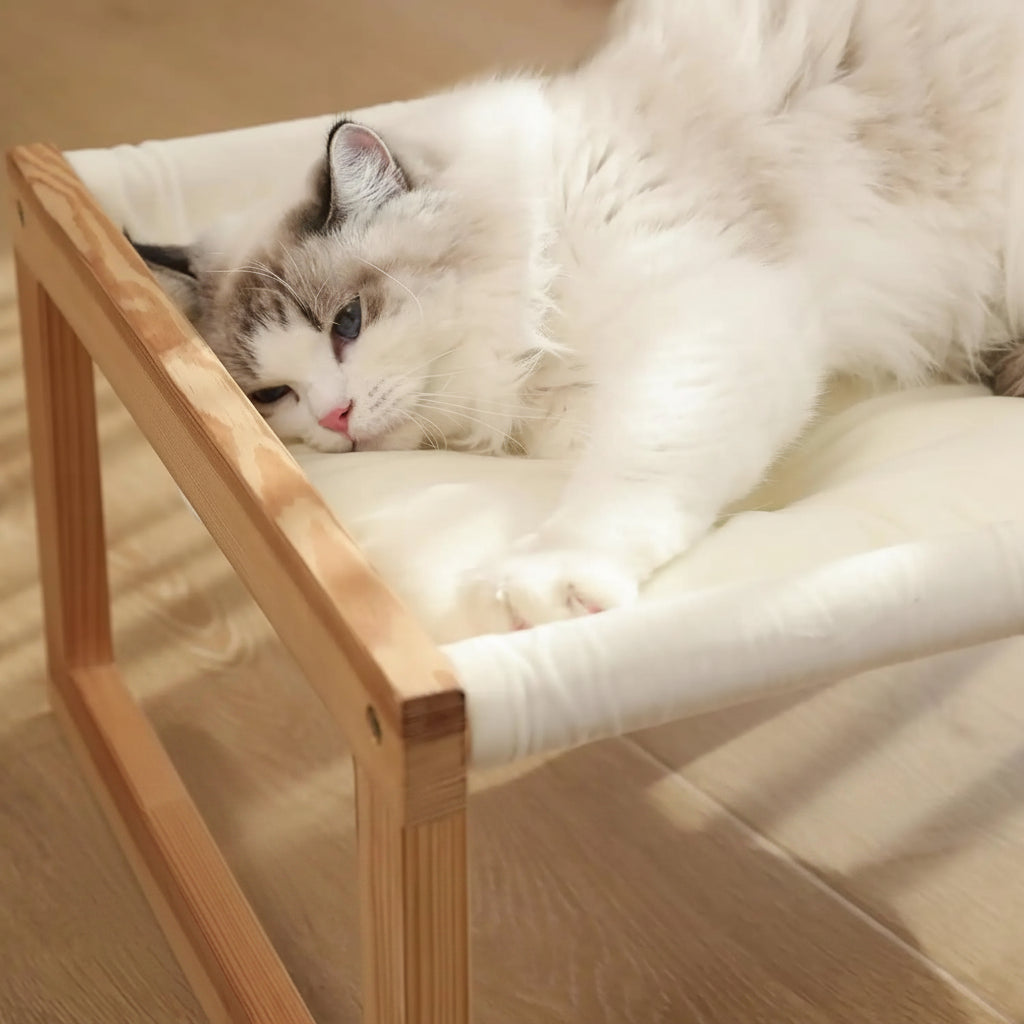 Gros plan d'un chat reposant sur la toile du hamac sur pied pour chat Lucerne – Bofélin Image