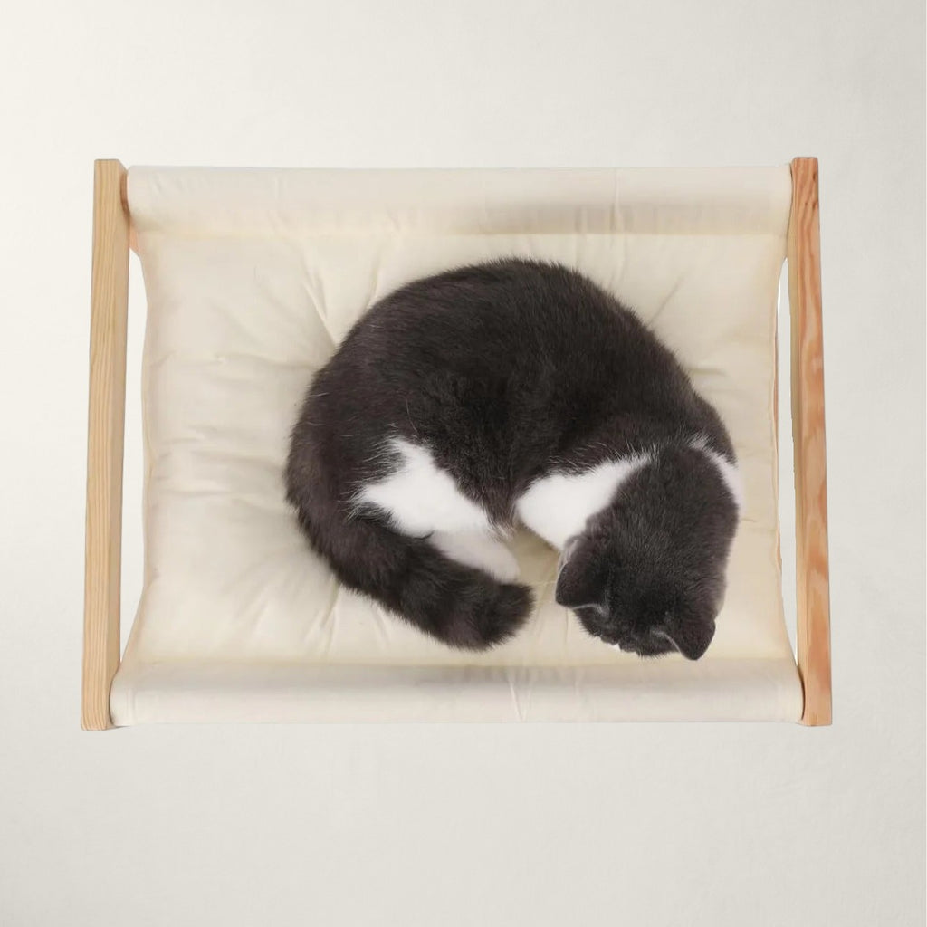 Chat noir et blanc lové sur le coussin du hamac sur pied pour chat Lucerne – Bofélin