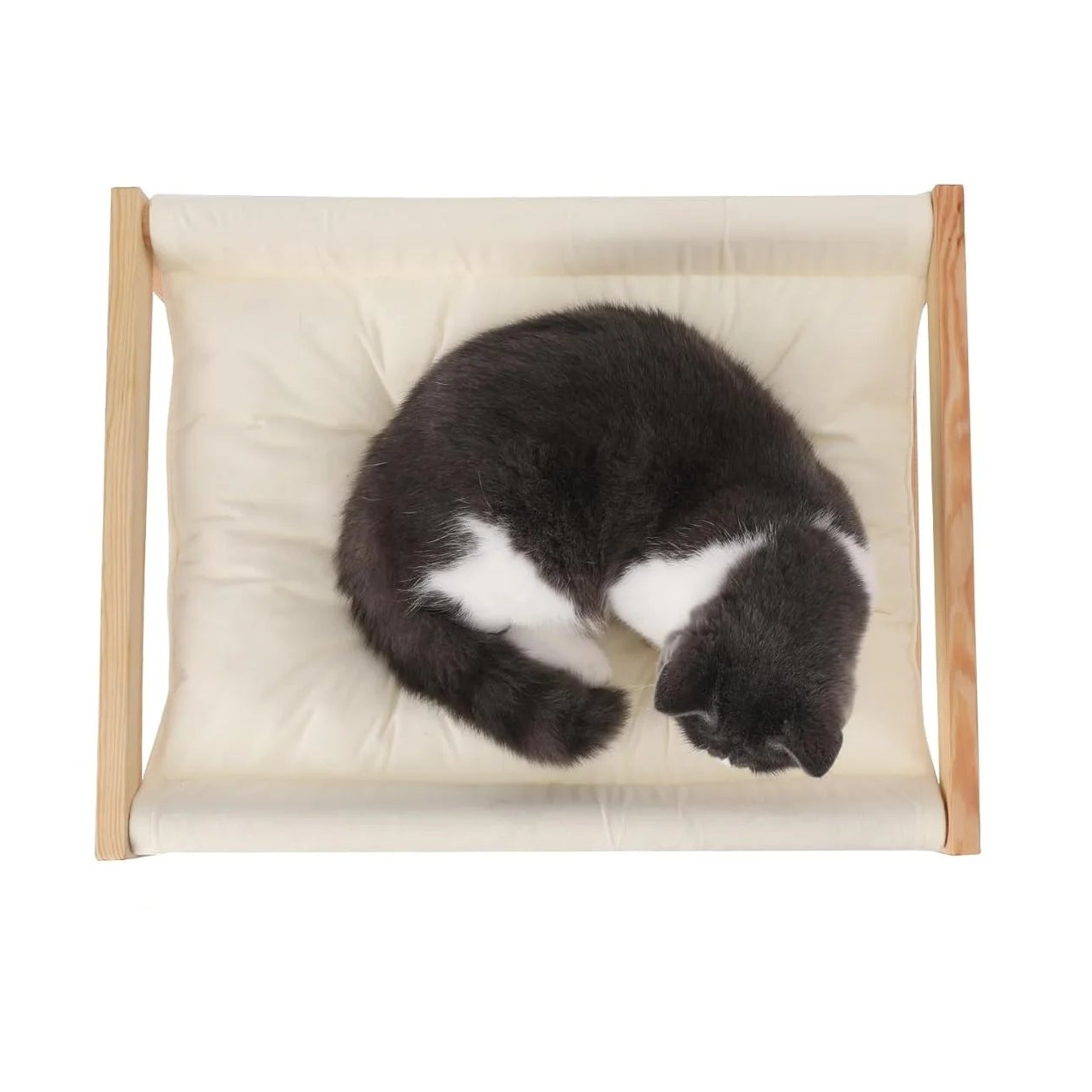 Chat noir et blanc lové sur le coussin du hamac sur pied pour chat Lucerne – Bofélin Image