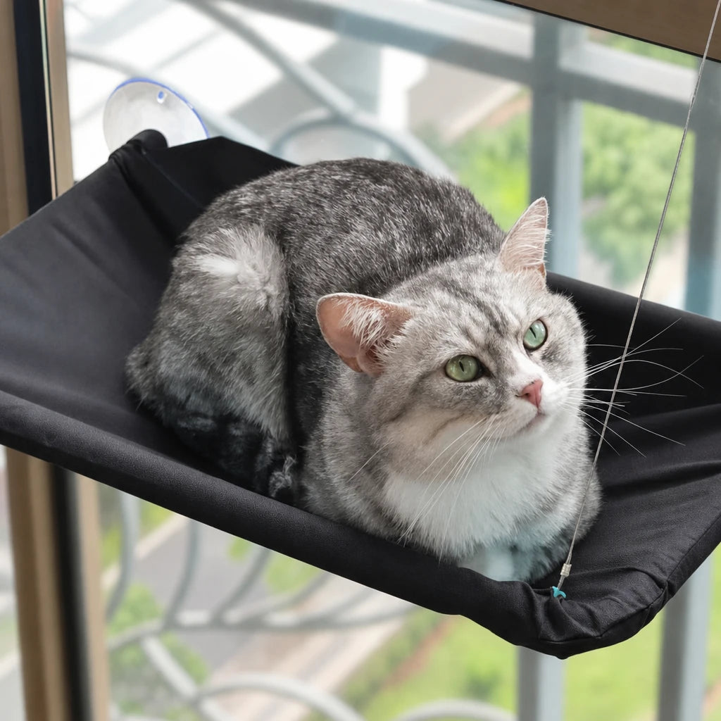 Hamac pour chat fenêtre Capri Bofélin en situation