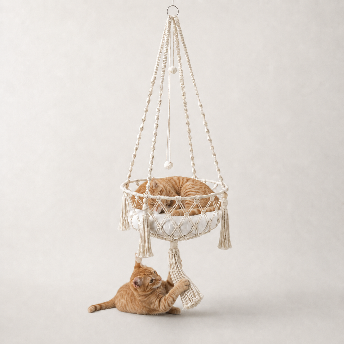 Chat roux jouant sous le hamac suspendu pour chat Cadix en macramé – Bofélin Image