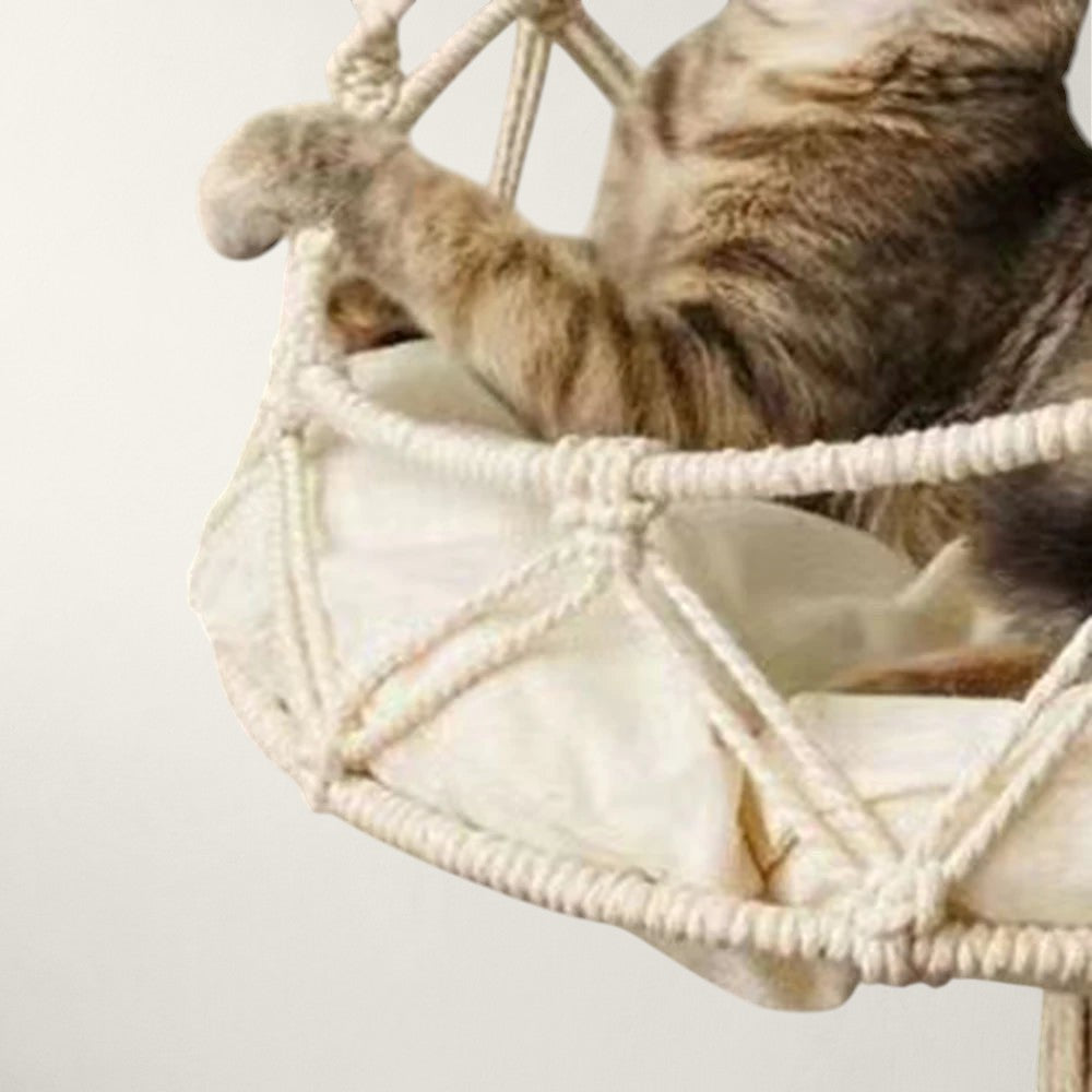 Chat grimpant dans le hamac suspendu pour chat Ibiza en macramé crème, vue rapprochée – Bofélin