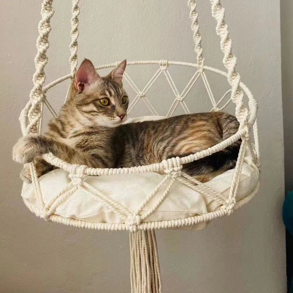 Chat tigré confortablement installé dans le hamac suspendu pour chat Ibiza en macramé – Bofélin Image