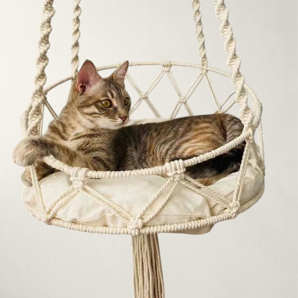 Chat tigré confortablement installé dans le hamac suspendu pour chat Ibiza en macramé – Bofélin