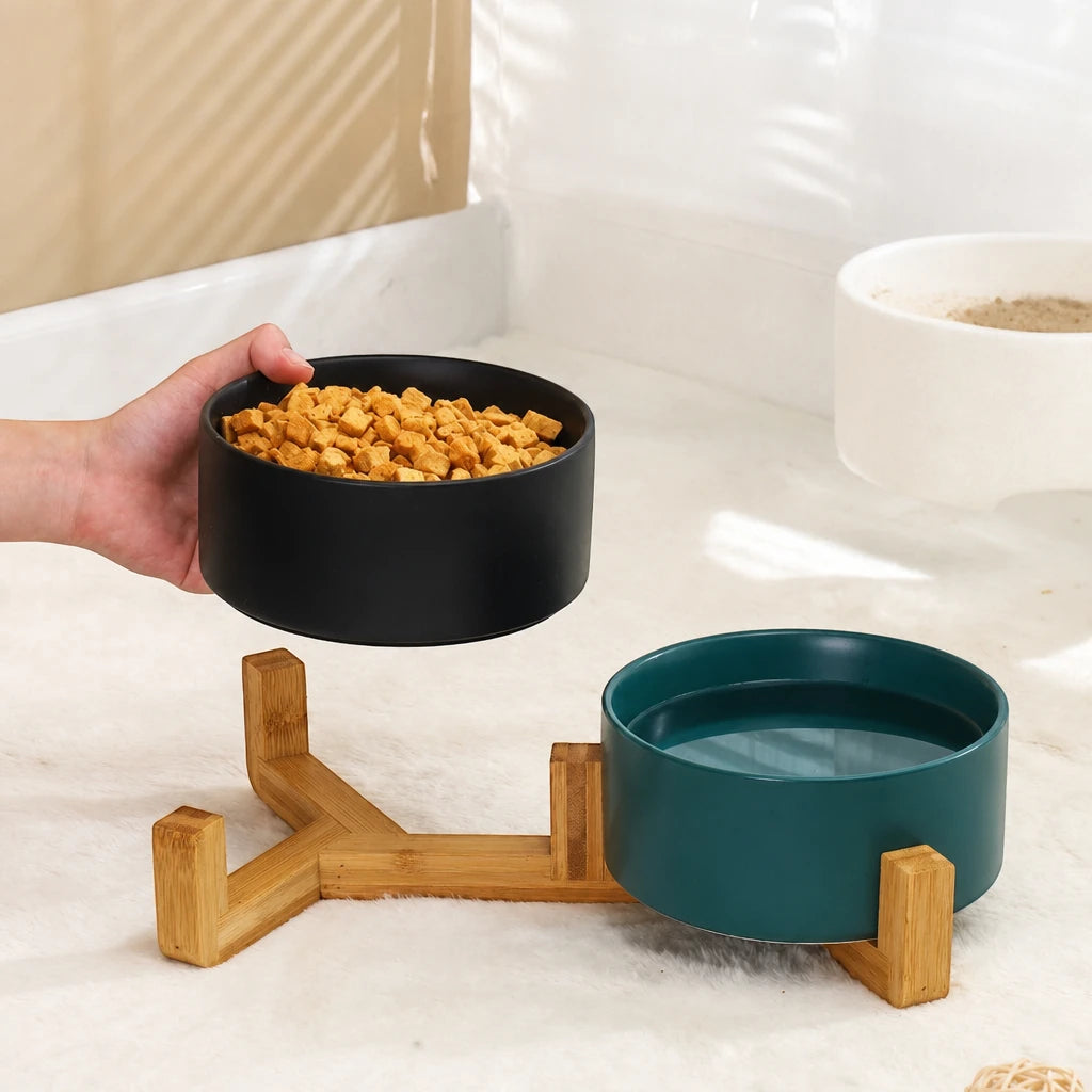 Jeu de gamelles surélevées pour chat Modene Bofélin en situation