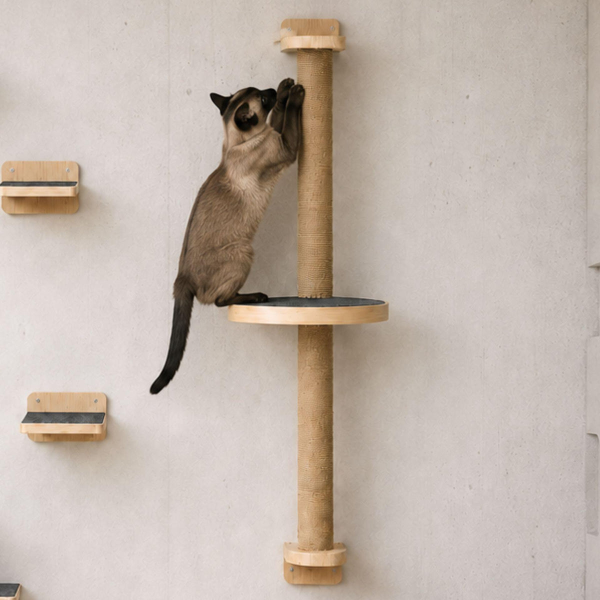 Kit arbre à chat mural bois