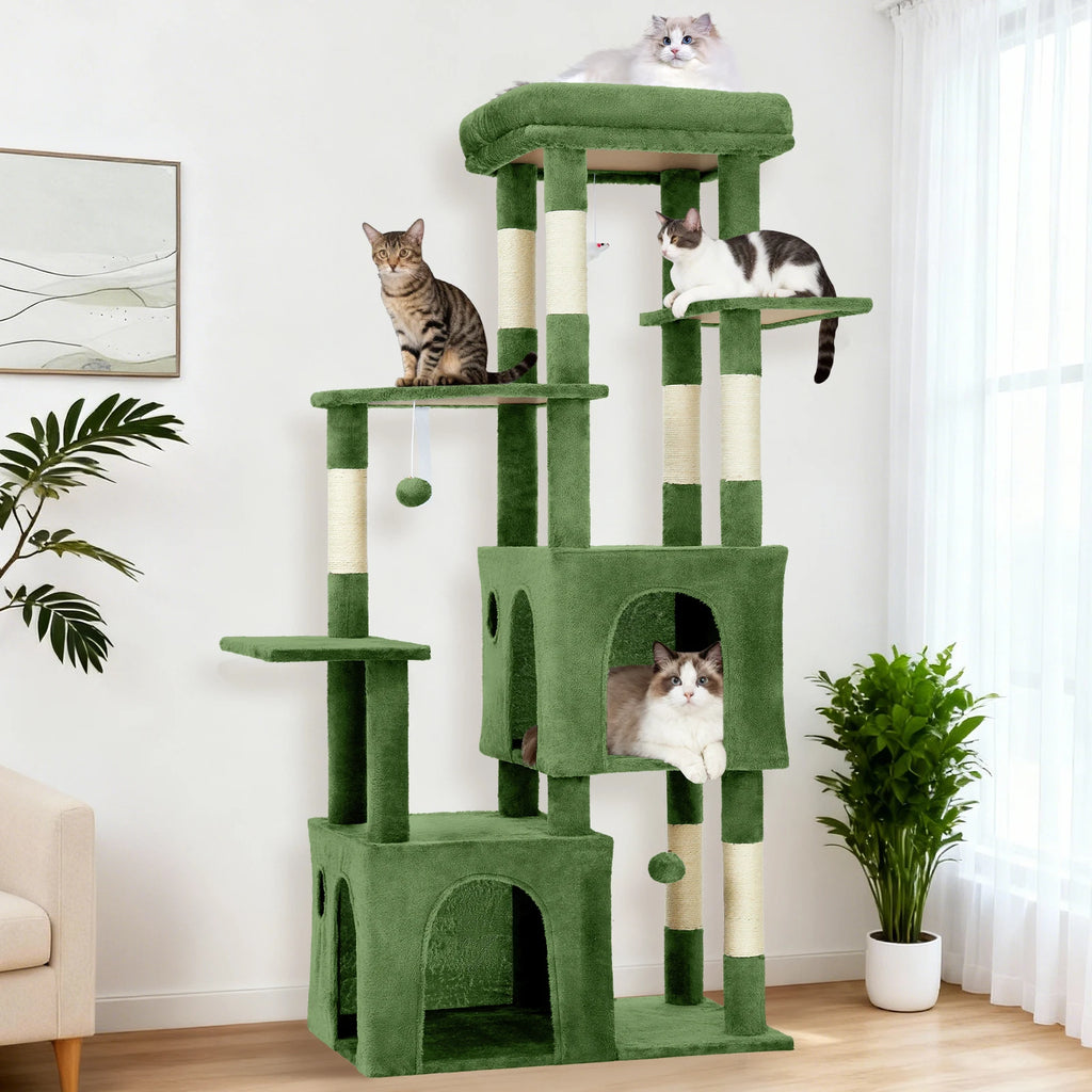 Maine Coon arbre à chat - Bofélin - 10