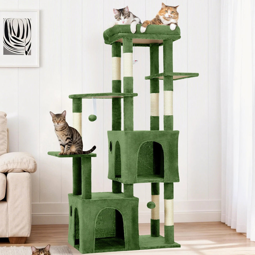 Maine Coon arbre à chat - Bofélin - 12