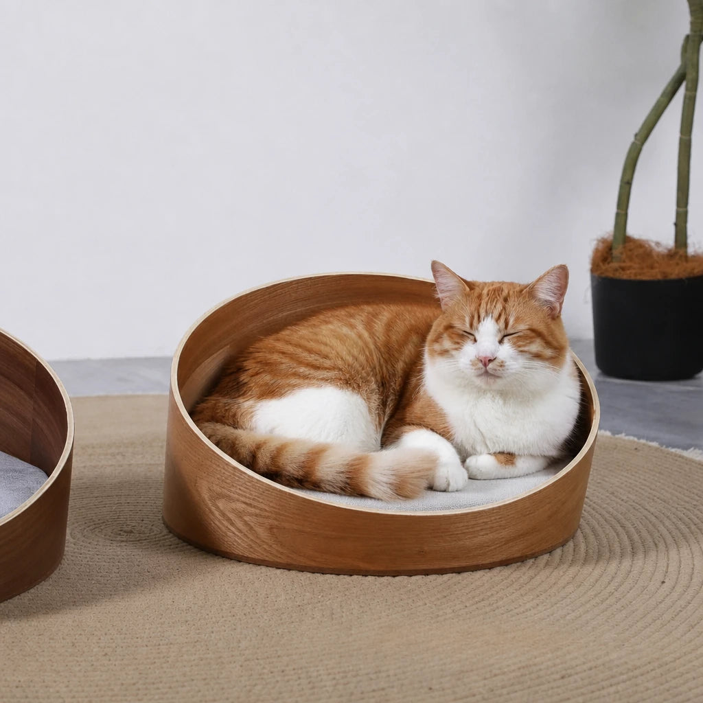 Panier chat design rond S Florence Bofélin en situation