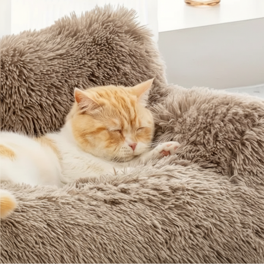 Panier chat grand confort L