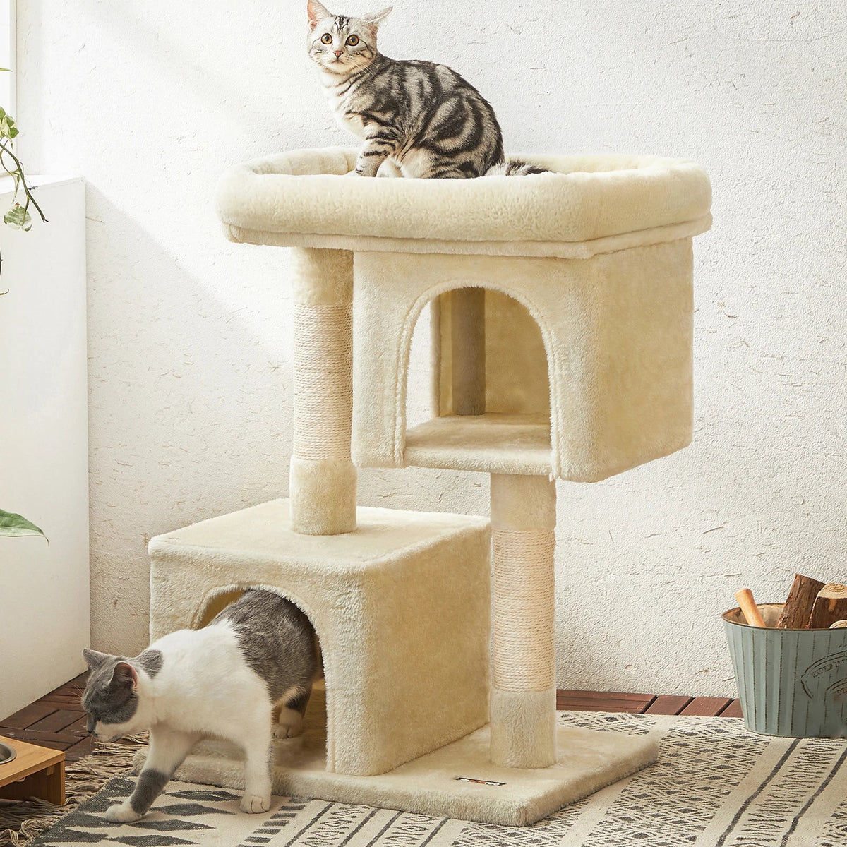 Petit arbre à chat doux
