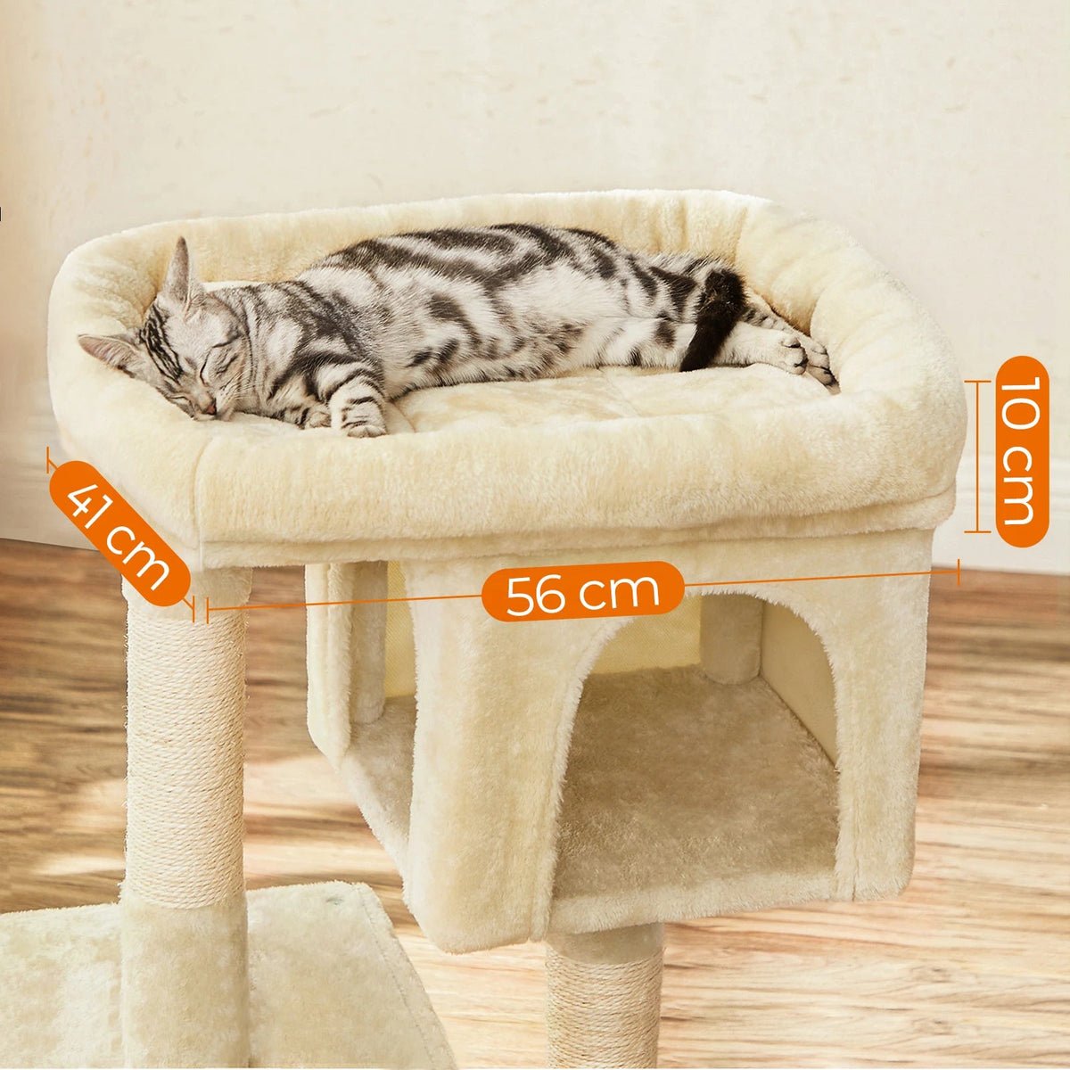 Petit arbre à chat doux