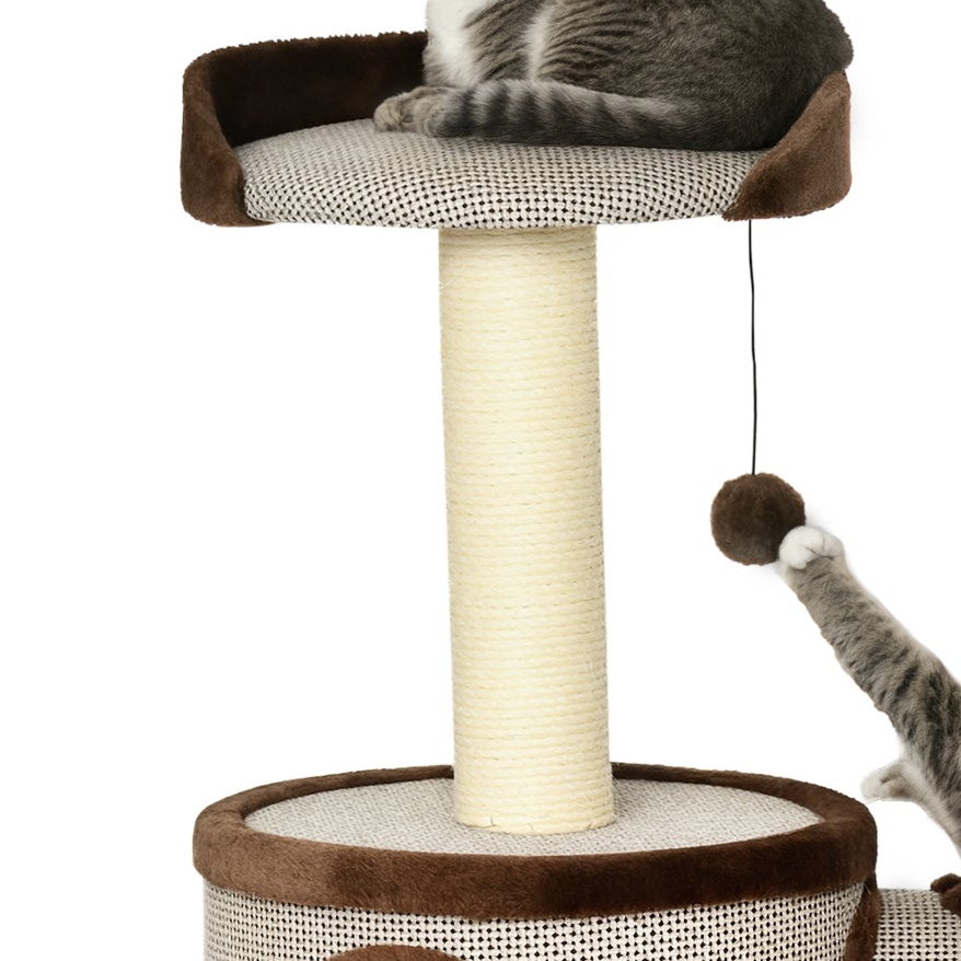Petit arbre à chat marron