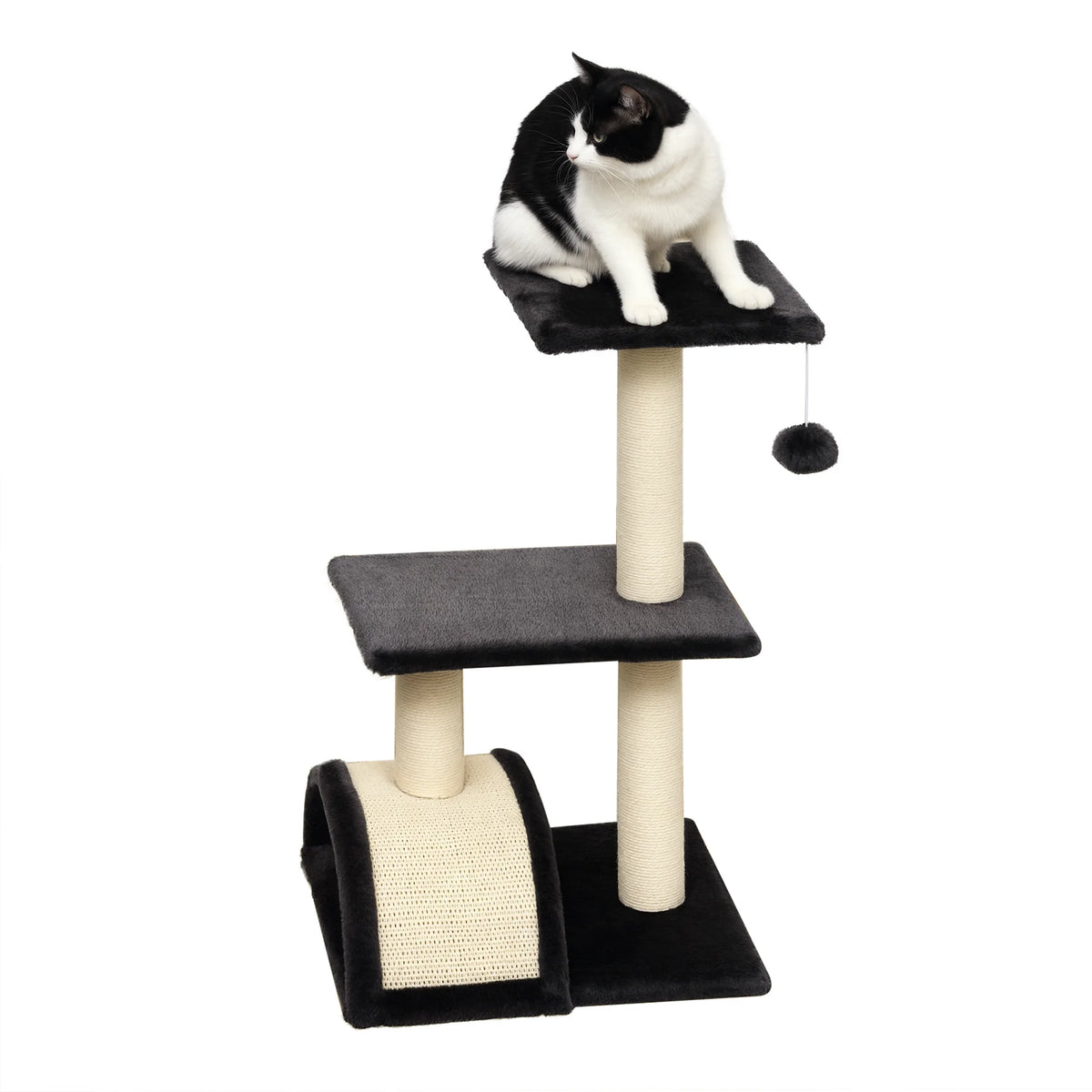Petit arbre à chat noir