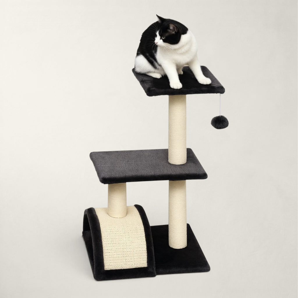 Petit arbre à chat noir - Bofélin - 3