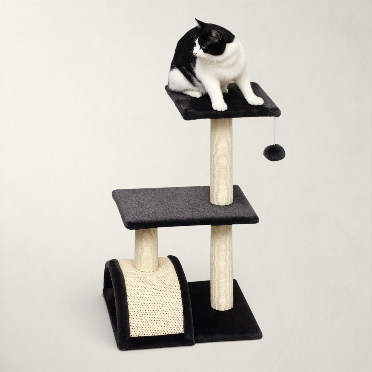 Petit arbre à chat noir - Bofélin - 3