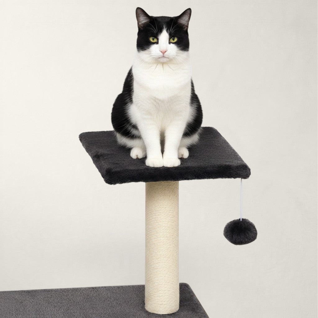Petit arbre à chat noir - Bofélin - 7