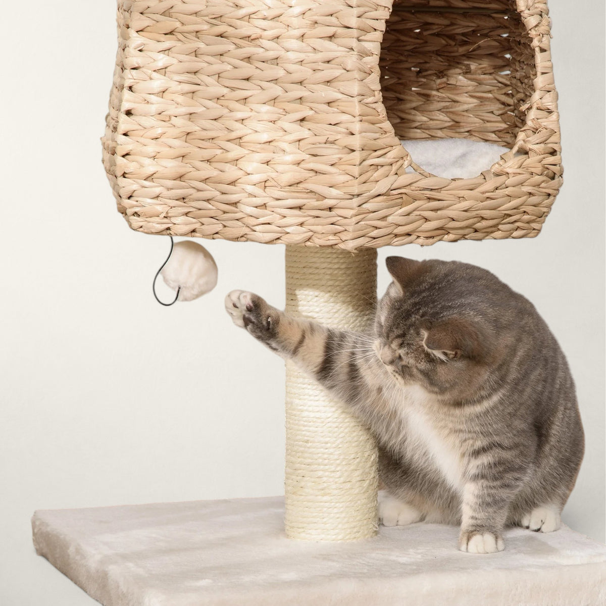 Petit arbre à chat scandinave - Bofélin - 5