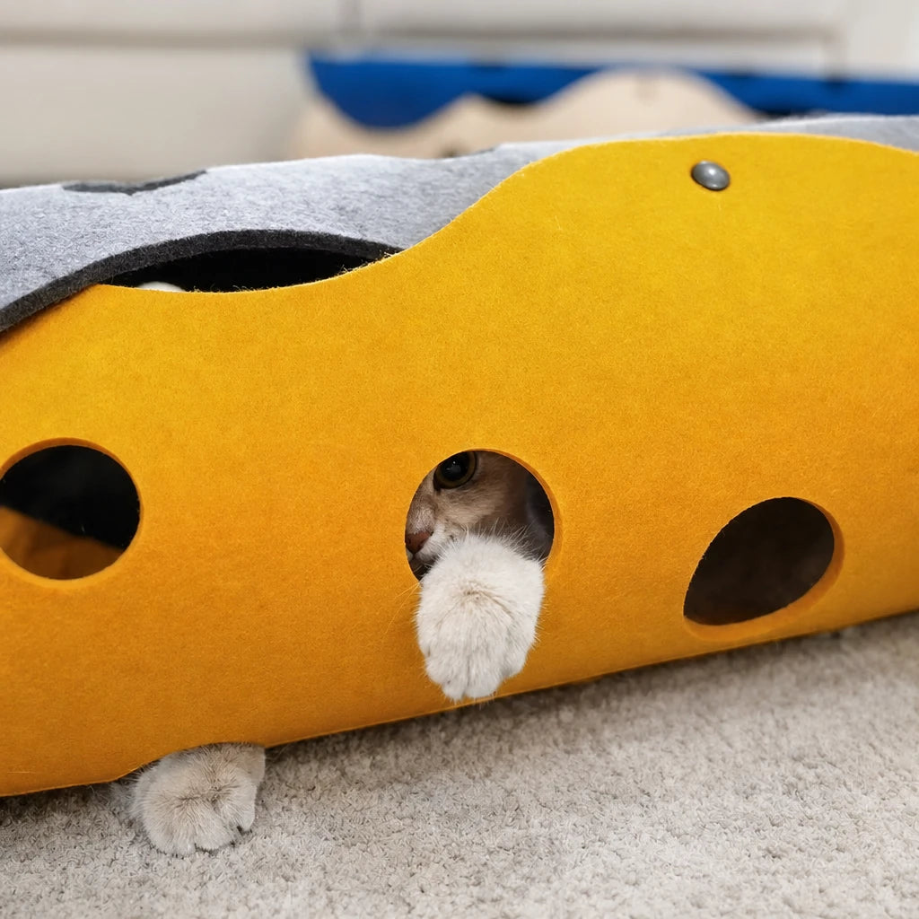 Tunnel de jeu pour chat Livourne Bofélin en situation